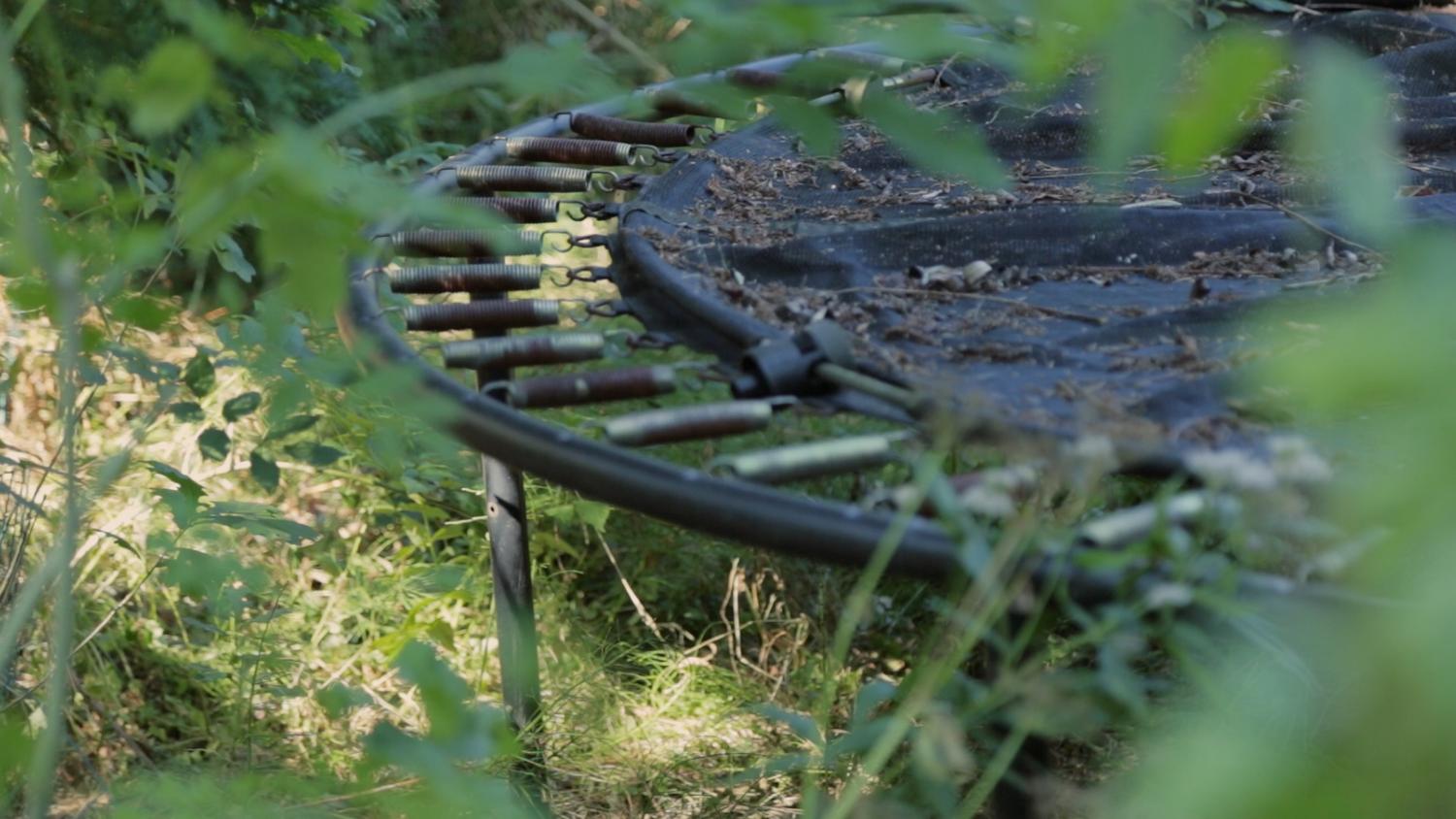Tuin is the Message