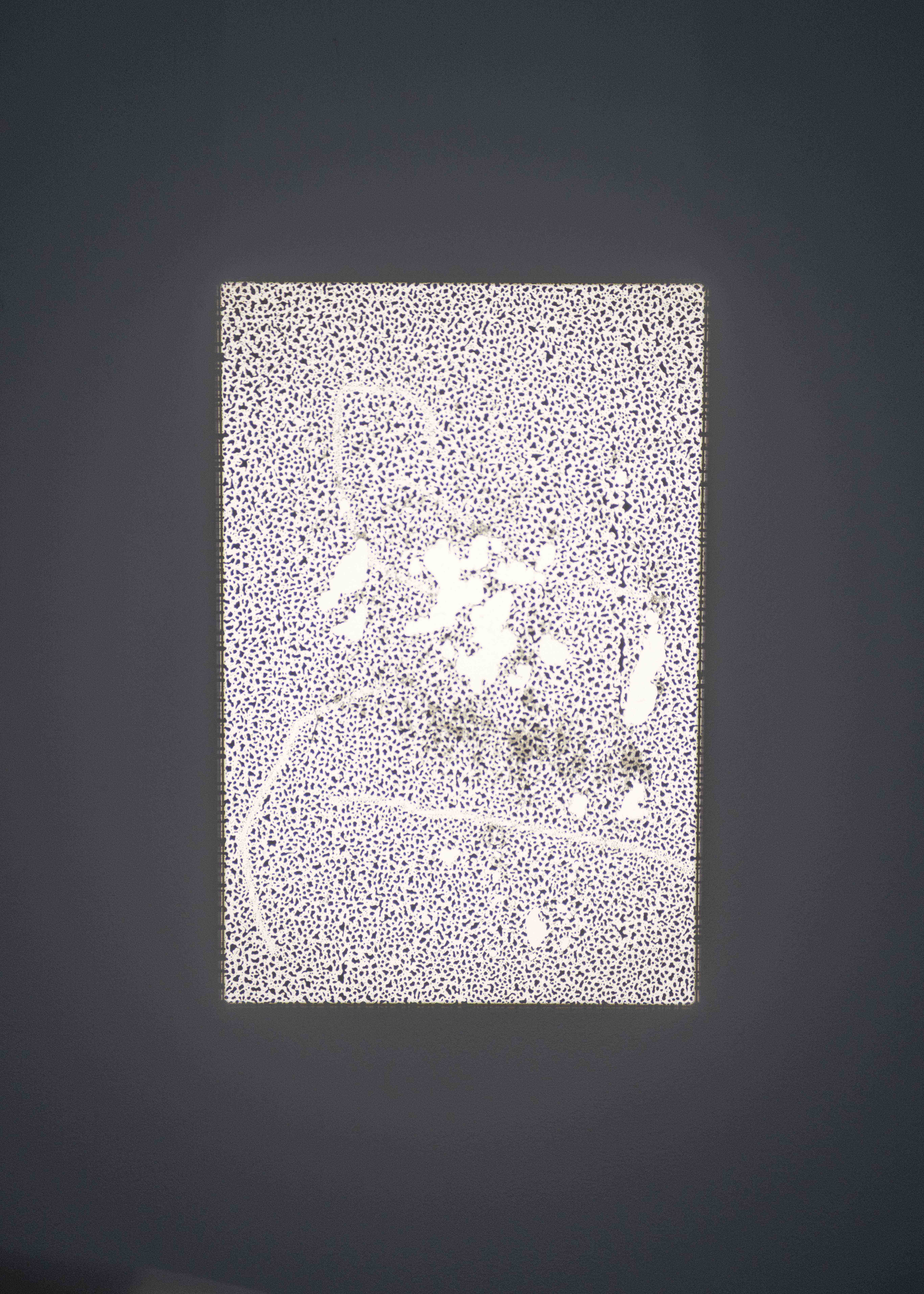 Projections from the Observatory, Takes on Transparency, A Tale of A Tub, Rotterdam, 2026